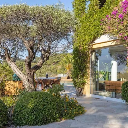 فيلة Golf Dor C6